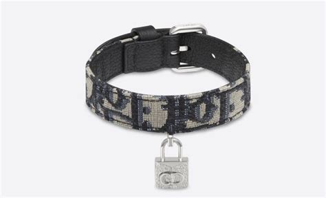 dior sweater for dog|high end dog collar brands.